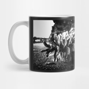 Pine Cone Mug